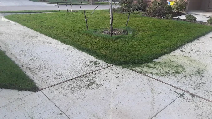 Lawn Care