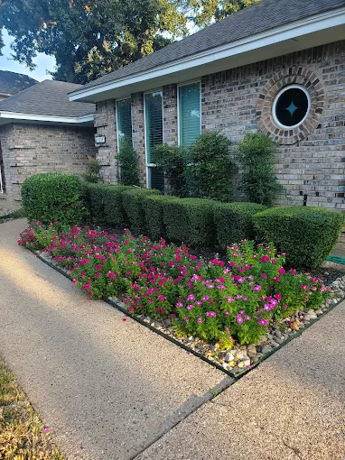 Seasonal Cleanup